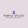 Business Lending Showing Purple Shoots – Official Launch Purple Shoots South Wales