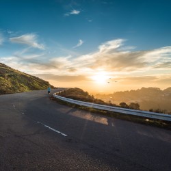 StoryShaping for Business Success in 3 Steps story business